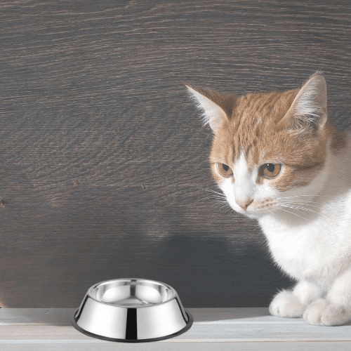 GAMELLE POUR CHAT | EN ACIER INOXYDABLE ET ANTIDĂRAPANTE - Leschamour