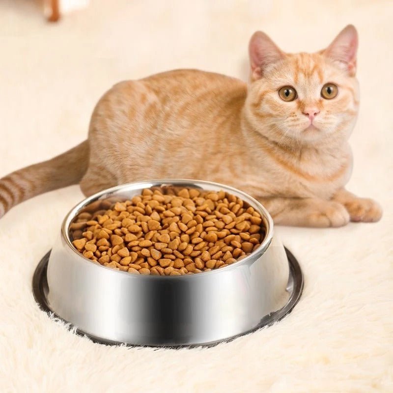 GAMELLE POUR CHAT | EN ACIER INOXYDABLE ET ANTIDĂRAPANTE - Leschamour