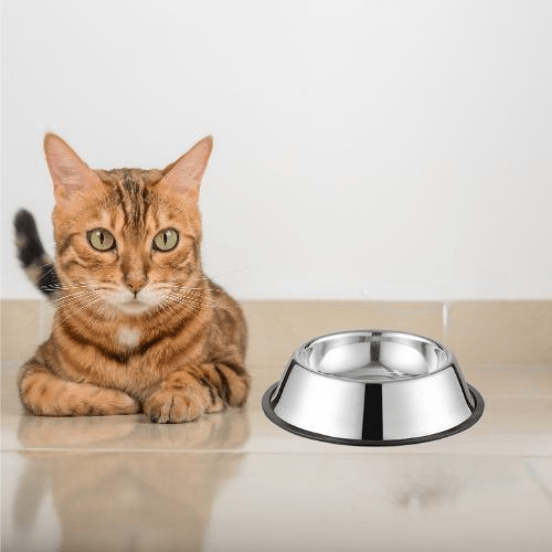 GAMELLE POUR CHAT | EN ACIER INOXYDABLE ET ANTIDĂRAPANTE - Leschamour