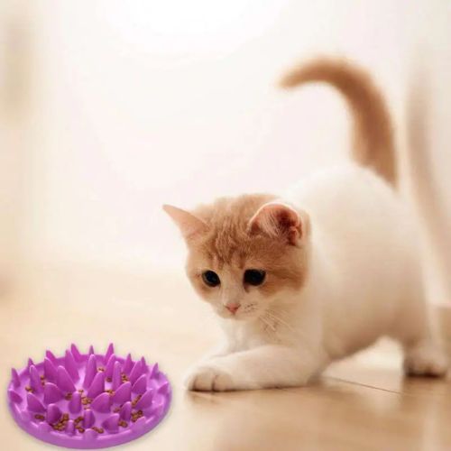 gamelles-anti-glouton-chat-violette