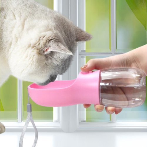 GOURDE POUR CHAT | DRINKCAT™ - Leschamour