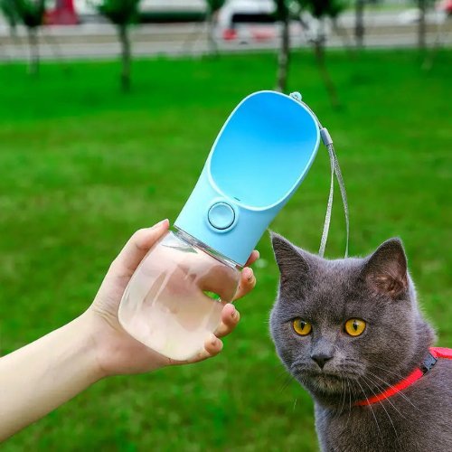 GOURDE POUR CHAT | DRINKCAT™ - Leschamour