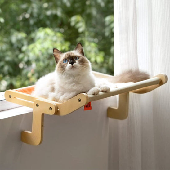 hamac-chat-douillet