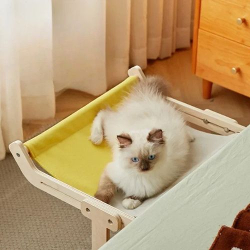 hamac-chat-jaune