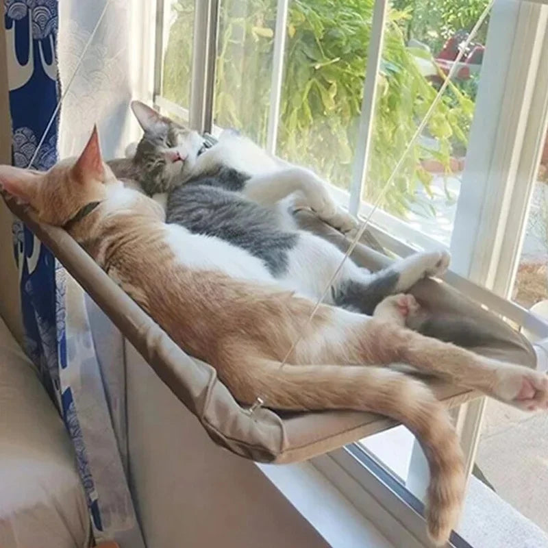 hamac-pour-chat-fenetre-bain-de-soleil