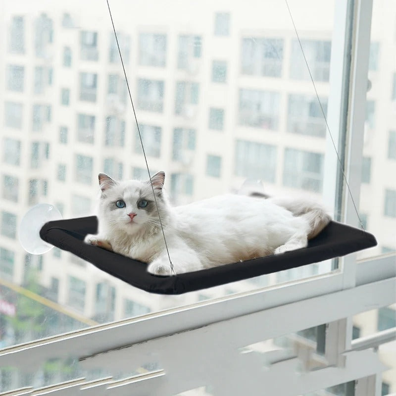 hamac-pour-chat-fenetre-noir