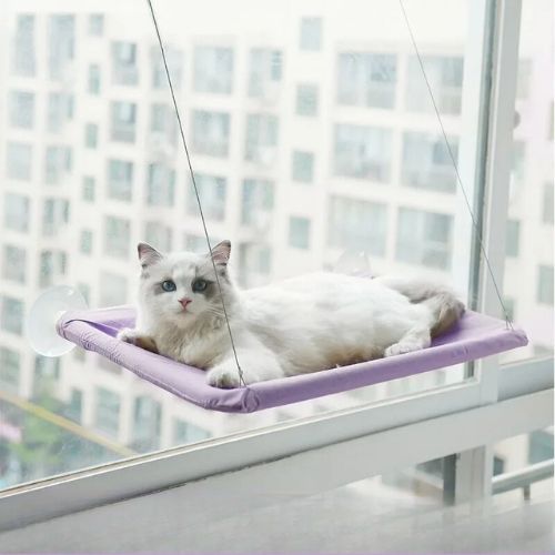 hamac-pour-chat-fenetre-violet