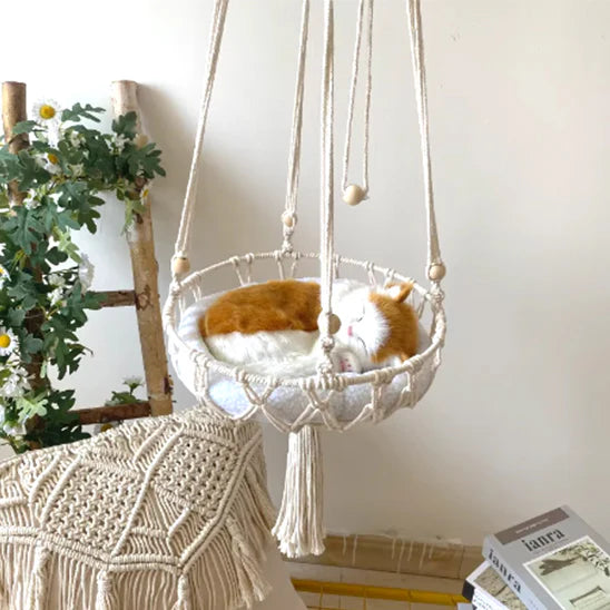 Hamal-pour-chat-polyvalent