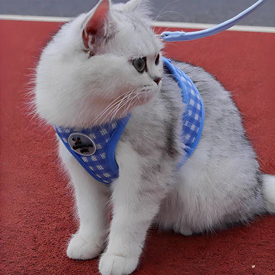 HARNAIS CHAT ANTI FUGUE | RÉFLÉCHISSANT + LAISSE OFFERTE - Leschamour