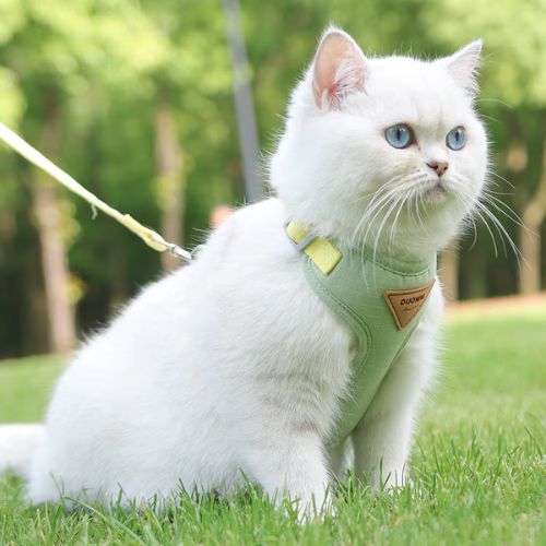 HARNAIS CHAT ANTI - FUGUE | RĂGLABLE + LAISSE OFFERTE - Leschamour