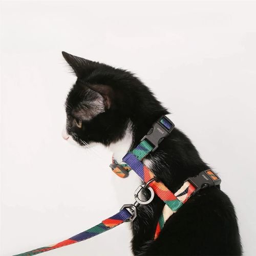HARNAIS POUR CHAT | ANTI - ĂVASION + LAISSE OFFERTE - Leschamour