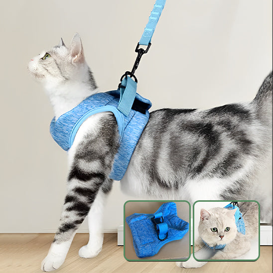 HARNAIS POUR CHAT | GILET + LAISSE OFFERTE