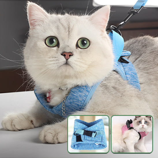HARNAIS POUR CHAT | GILET + LAISSE OFFERTE