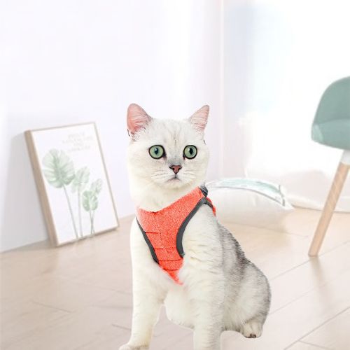harnais-pour-chat-orange