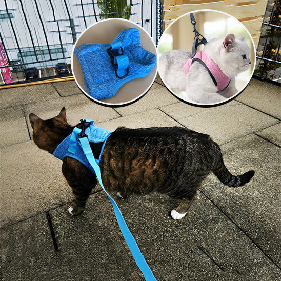 HARNAIS POUR CHAT | GILET + LAISSE OFFERTE