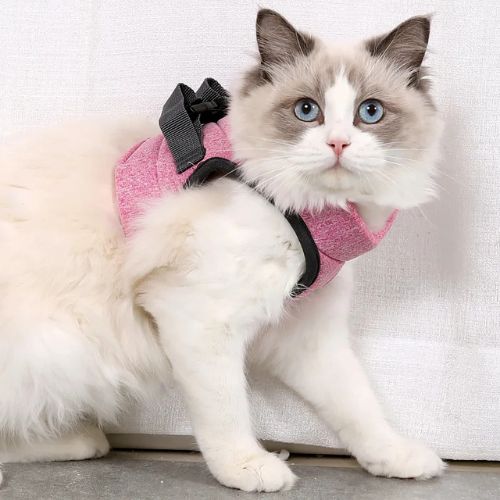 harnais-pour-chat-rose