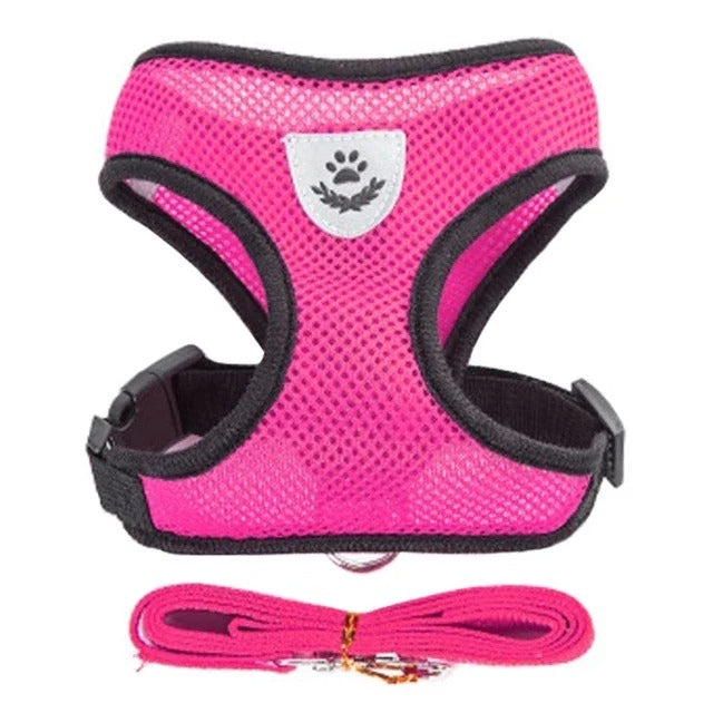 Harnais pour chaton 3 mois gilet rose réfléchissant