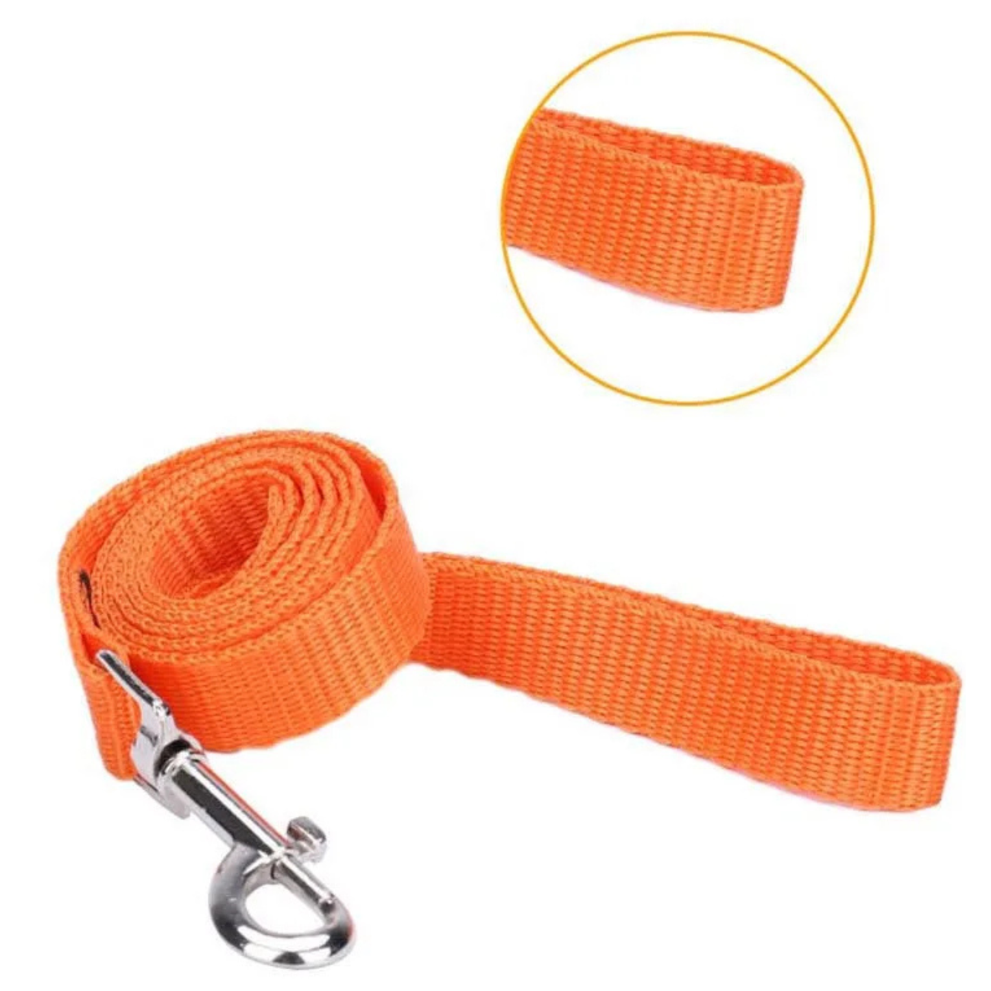 Harnais pour chaton anti-fugue avec laisse