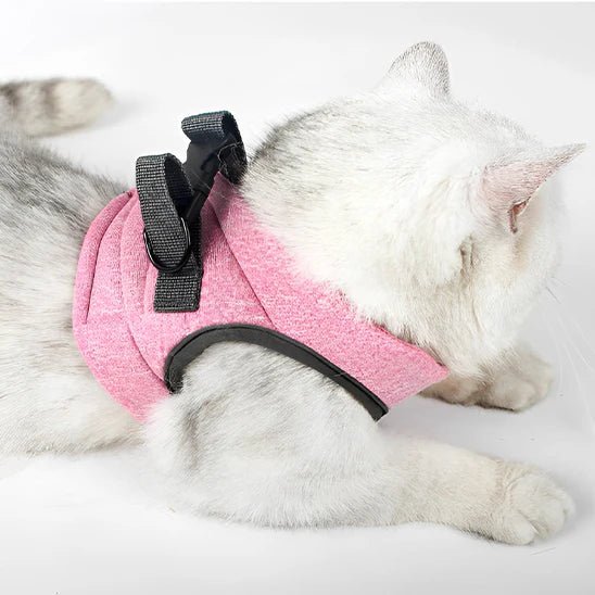 HARNAIS POUR CHATON | GILET + LAISSE OFFERTE - Leschamour