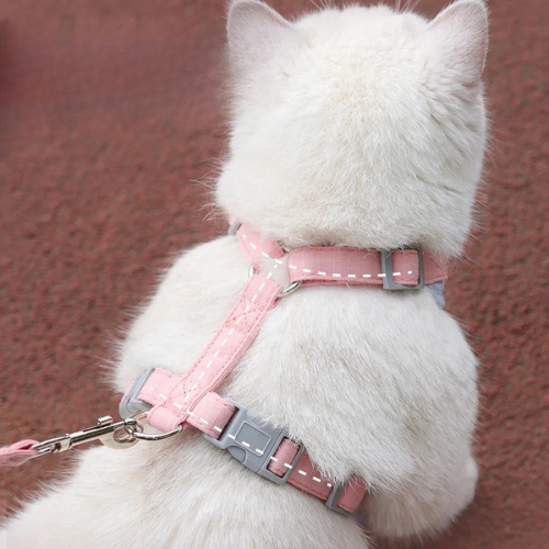 Harnais-pour-maine-coon-gilet-sécurisé