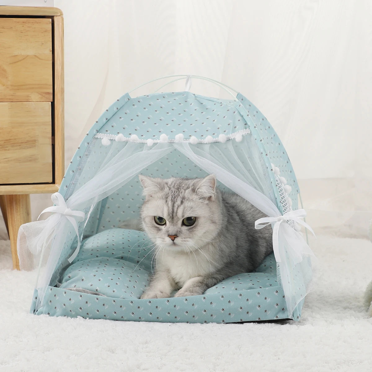 maison_pour_chat_bleue