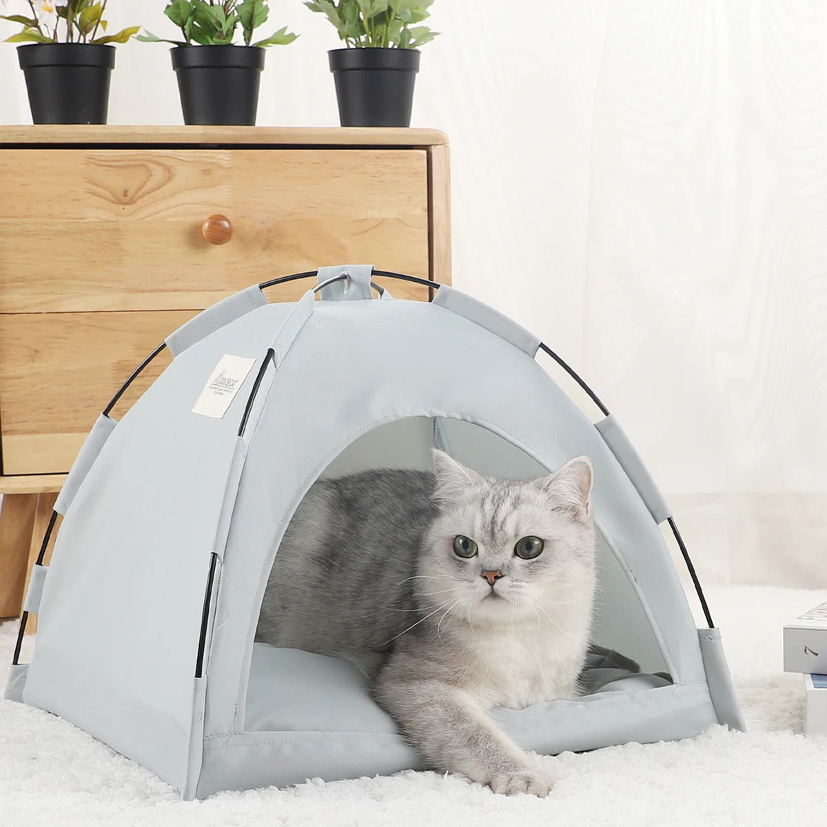 maison_pour_chat_grise