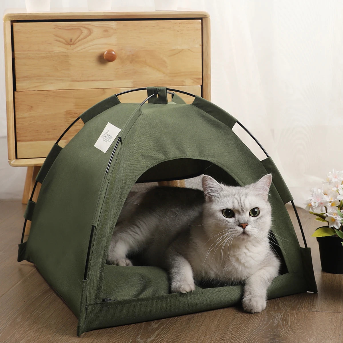 maison_pour_chat_kaki