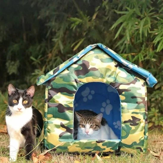 Niche-chat-extérieur-refuge