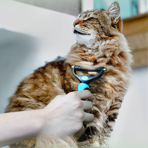 Peigne-pour-chat-pratique