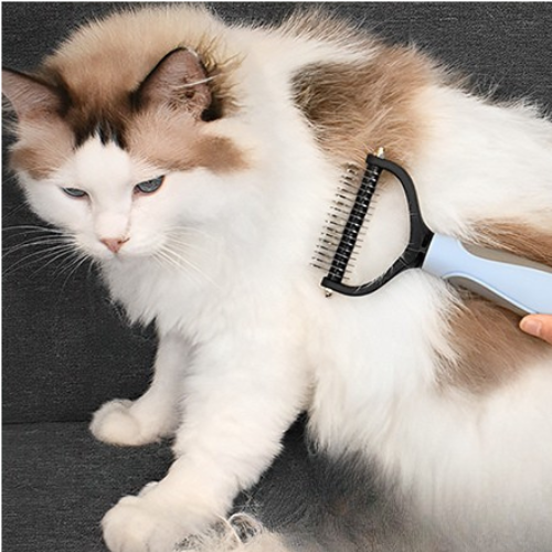 peigne-pour-chat