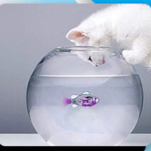POISSON QUI BOUGE POUR CHAT | FISHCATâą - Leschamour