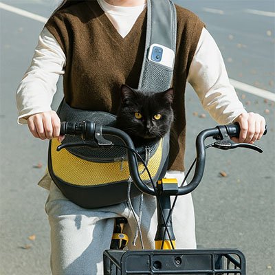 Sac à dos pour transport chat bandoulière anti-fugue