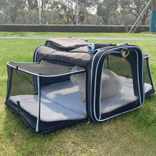 sac de transport pour chats xxl bleu