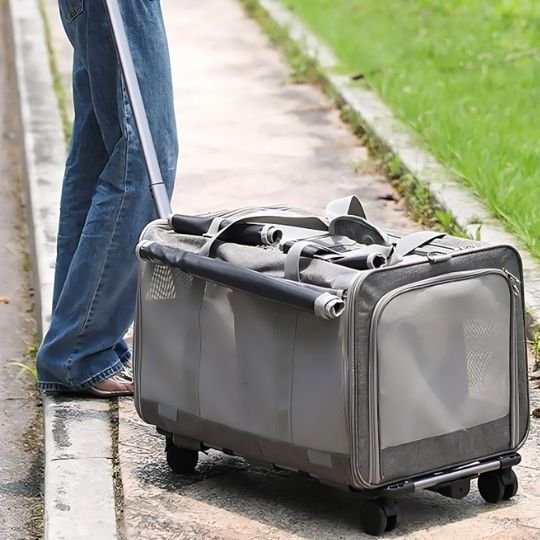 sac transport chat xxl avec roulettes voyage