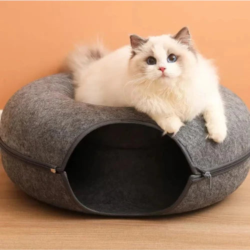 tunnel-chat-bien-etre