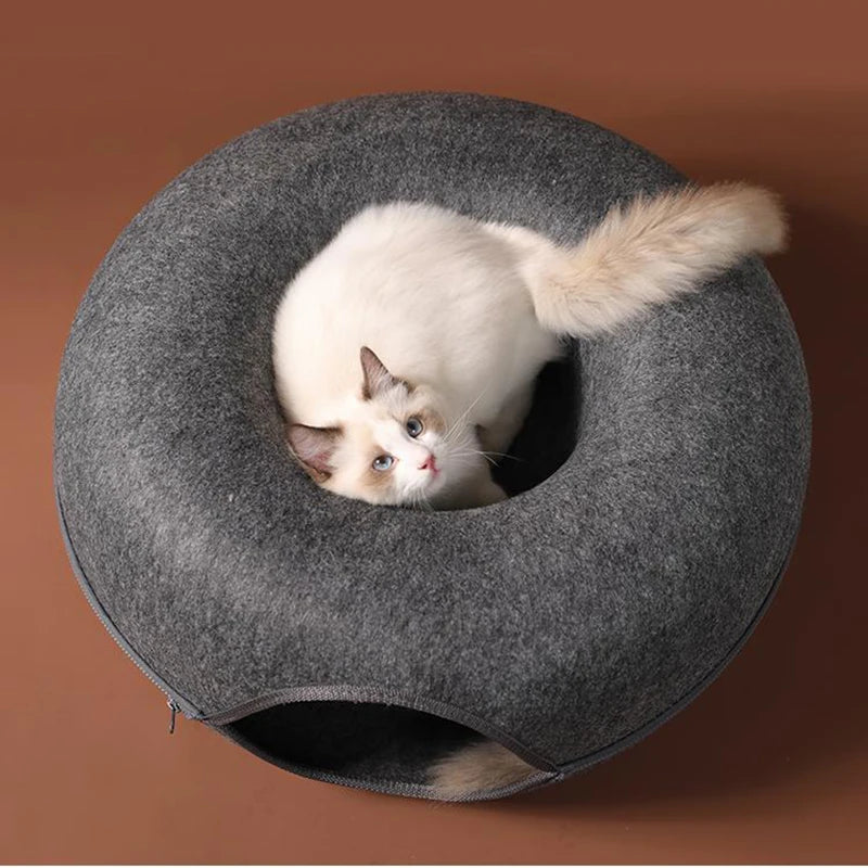 tunnel-chat-gris-fonce