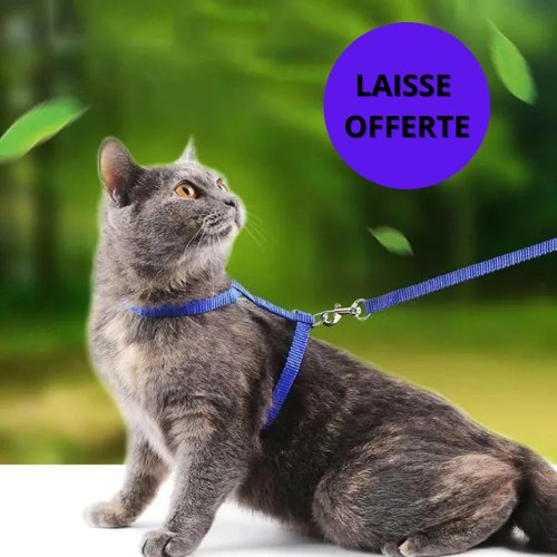 HARNAIS CHAT-CATLOVERâą - Leschamour
