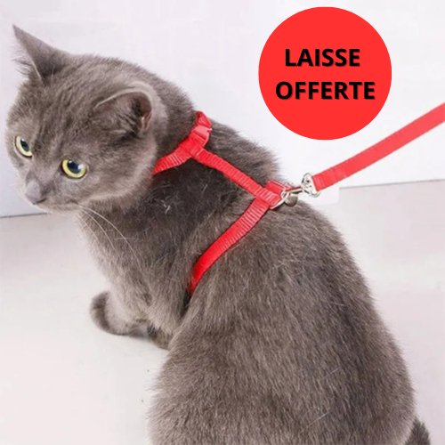 HARNAIS CHAT-CATLOVERâą - Leschamour