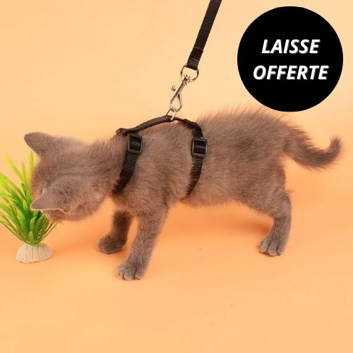 HARNAIS CHAT-CATLOVERâą - Leschamour
