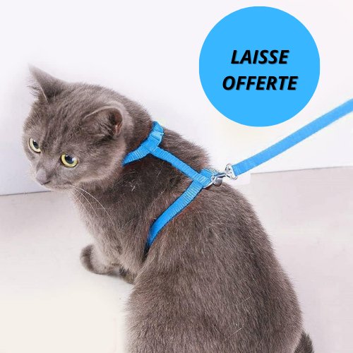 HARNAIS CHAT-CATLOVERâą - Leschamour