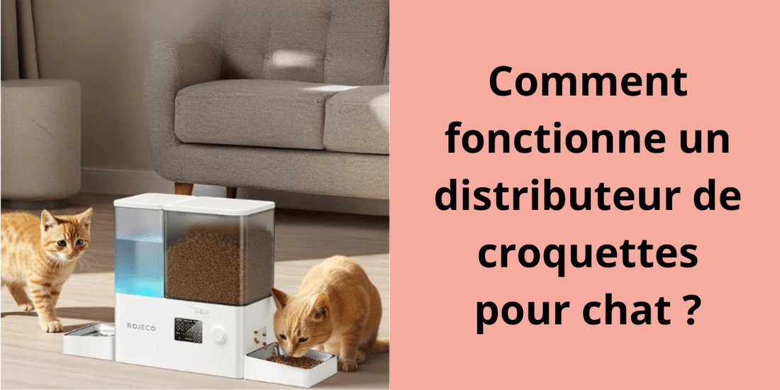 Comment fonctionne un distributeur de croquettes pour chat ?