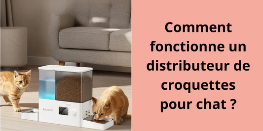 Comment fonctionne un distributeur de croquettes pour chat ?