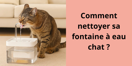 COMMENT NETTOYER SA FONTAINE A EAU CHAT ?