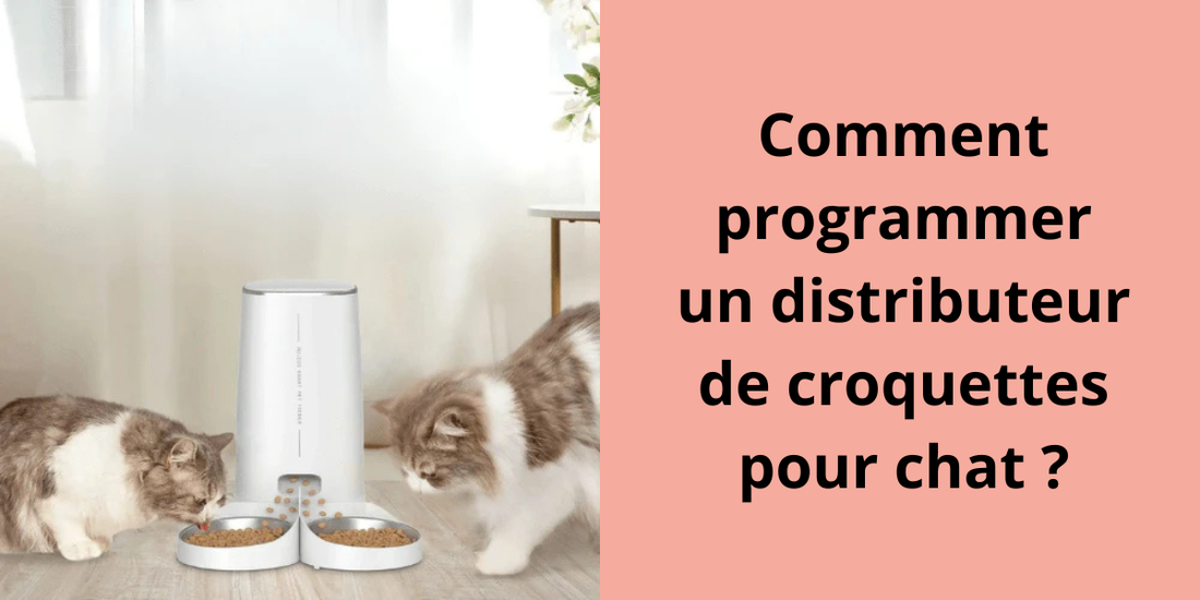 Comment programmer un distributeur de croquettes pour chat ?