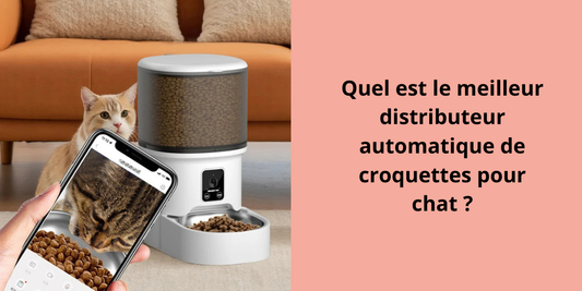 Quel est le meilleur distributeur automatique de croquettes pour chat ?