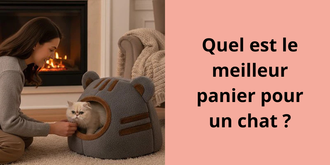 Quel est le meilleur panier pour un chat ?