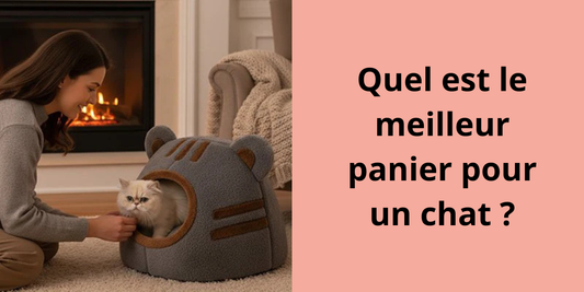 Quel est le meilleur panier pour un chat ?