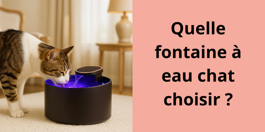 Quelle fontaine à eau chat choisir ?