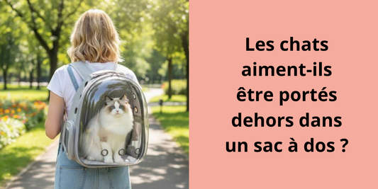 Les chats aiment-ils être portés dehors dans un sac à dos ?