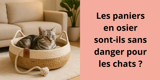 Panier chat osier - Leschamour